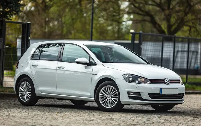samochody osobowe Volkswagen Golf cena 35900 przebieg: 181000, rok produkcji 2015 z Dzierżoniów